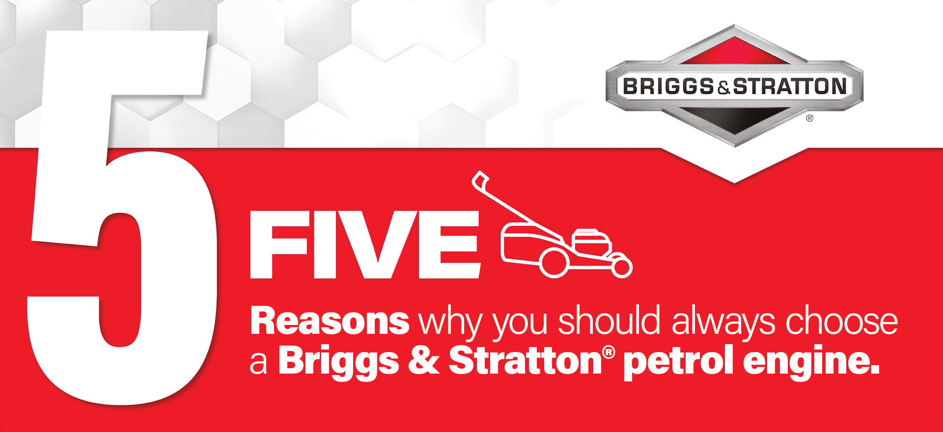 Briggs and discount stratton petrol mower